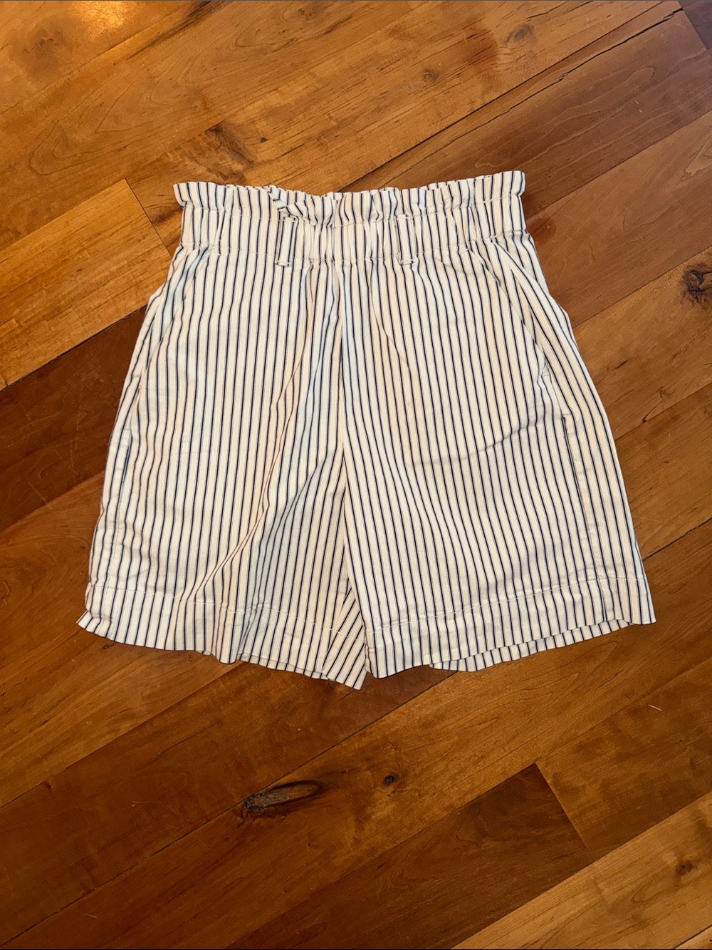 Everlane Paper Bag Blue Striped Short Shorts – Medium